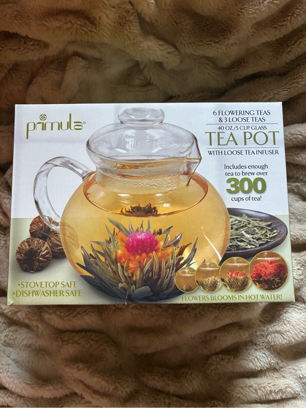 Primula Clear Glass Tea Pot with Loose Tea Infuser - Clear